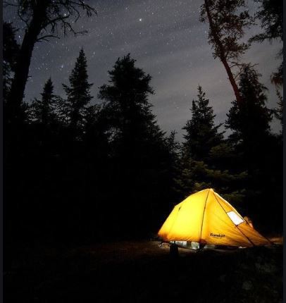 application 3.png application 3.png